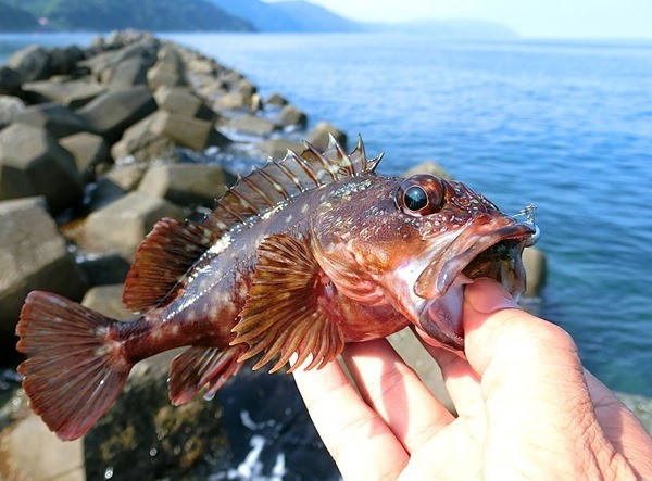 La mar de pesca