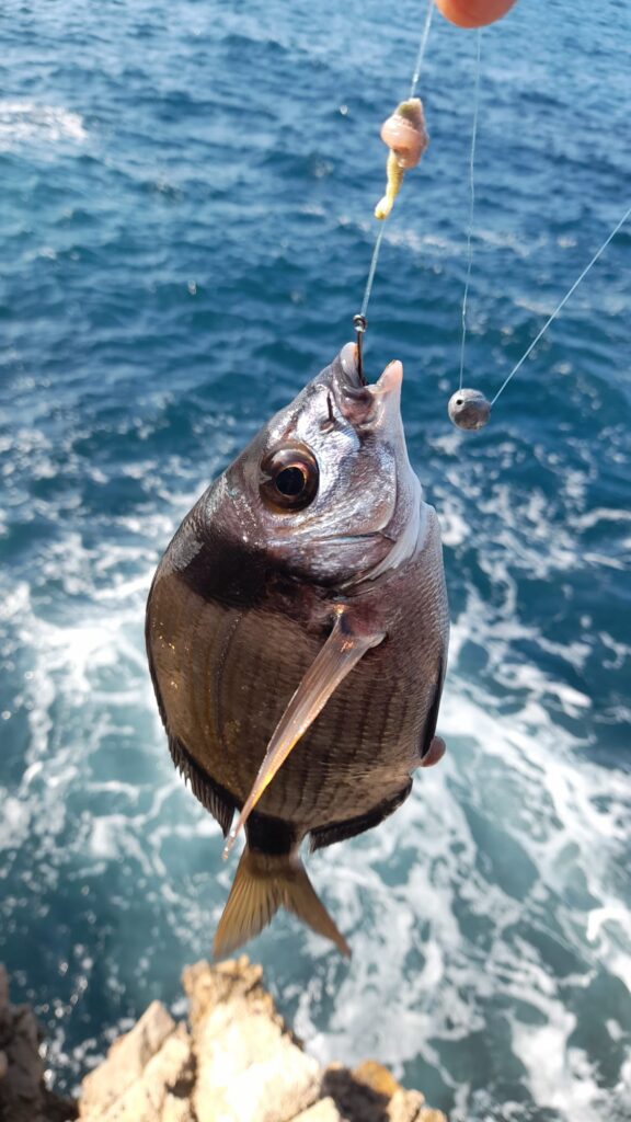 La mar de pesca