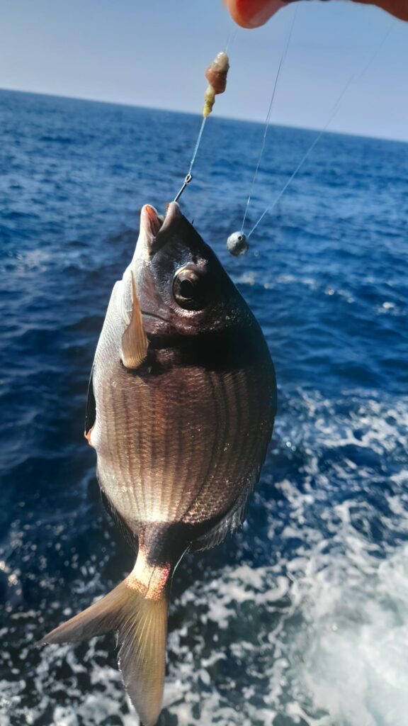 La mar de pesca